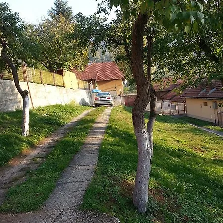 Mely Sarajevo